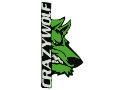 CrazyWolf avatar