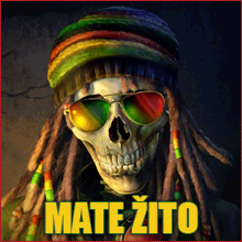 Mate Zito avatar